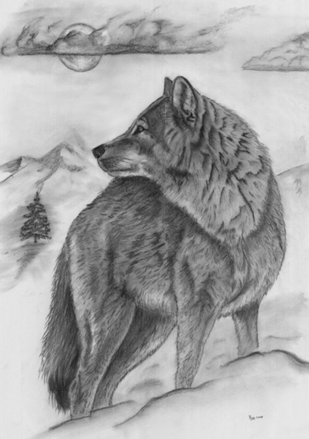 Изображают волка и волчицу