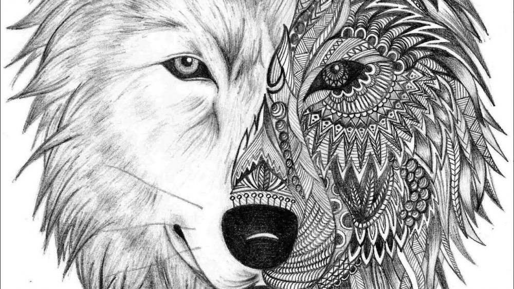 Волк и волчица рисунок