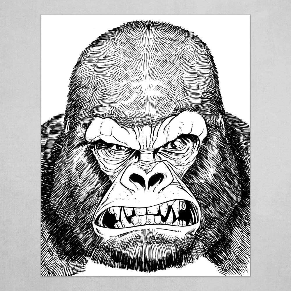 Нарисовать гориллу