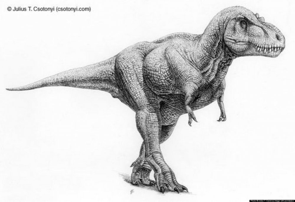 Рисование динозавров Тирекс