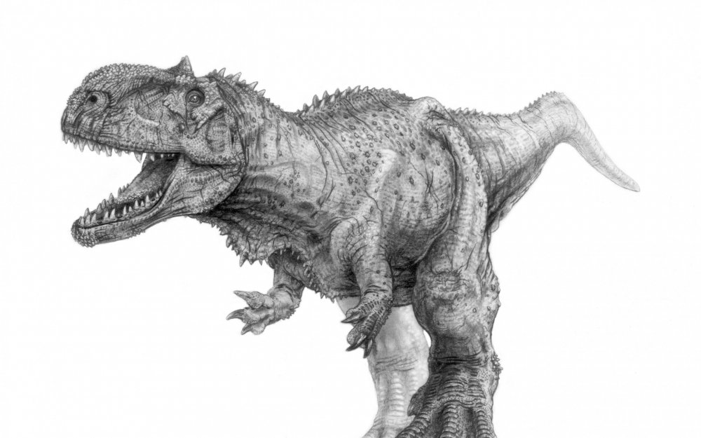 Тираннозавр рекс в профиль