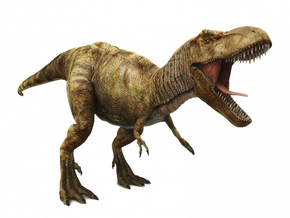 Тираннозавр рекс арт парк Юрского периода