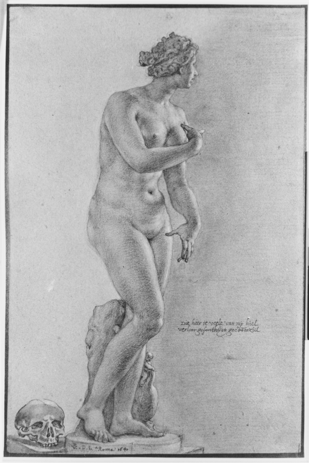 Венера рисунок