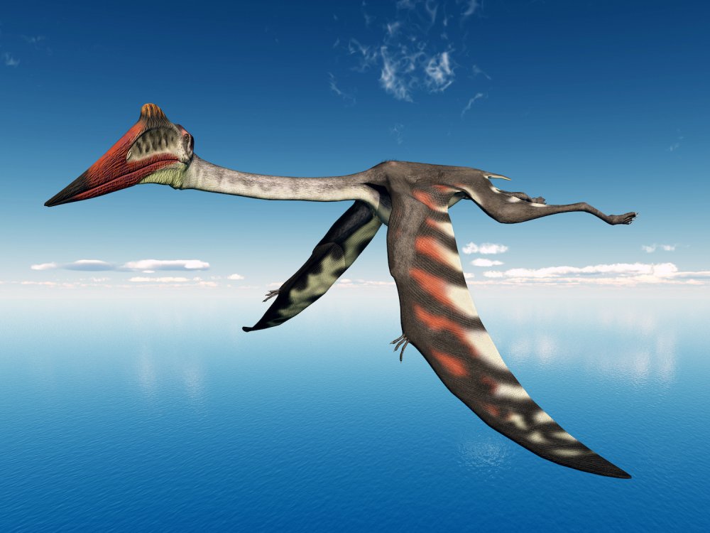 Тираннозавр Атучин