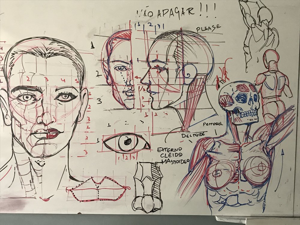 Креативные рисунки по анатомии