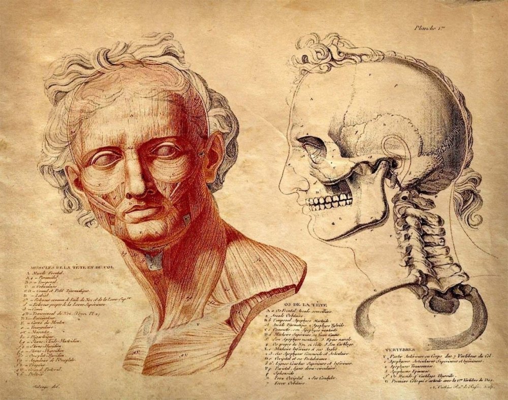 Древние анатомические атласы