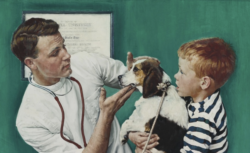 Ветеринар мультяшная