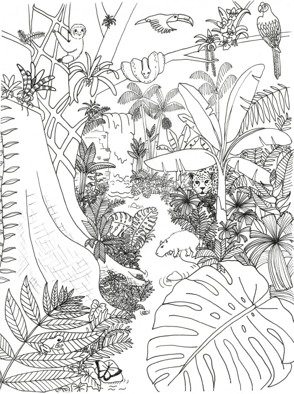 Тропические растения Графика