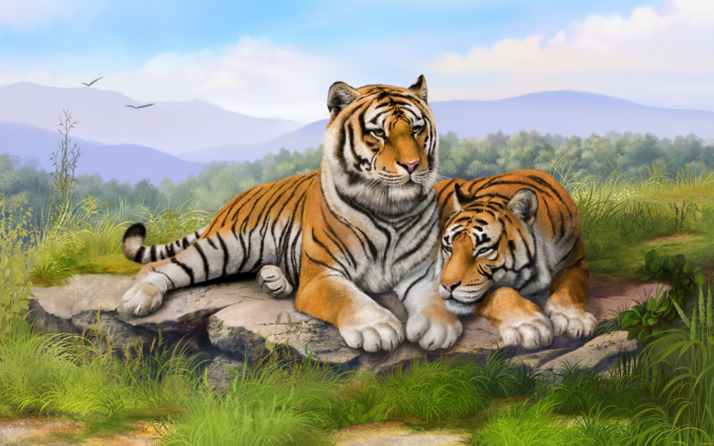 Животные тигр