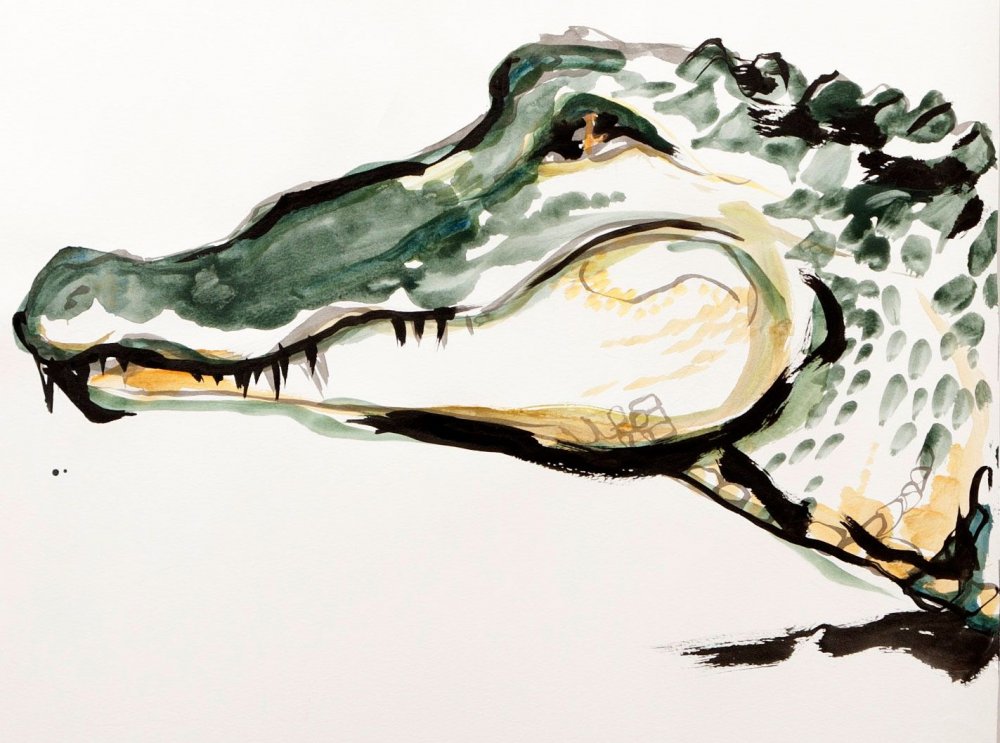 Крокодил талисман для школы