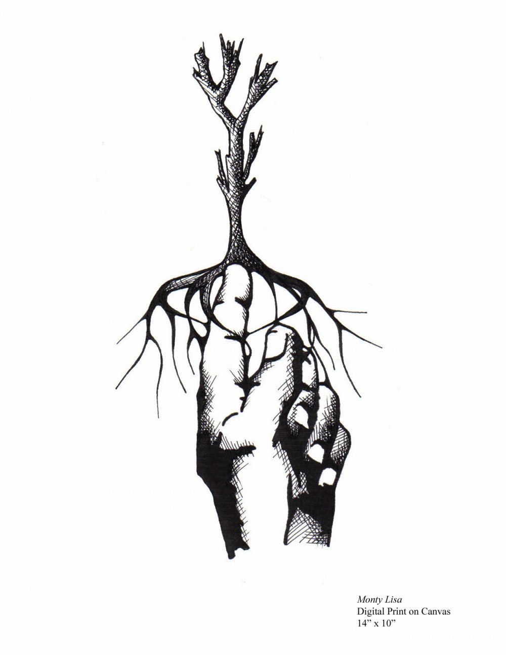 Дерево с корнями на прозрачном фоне
