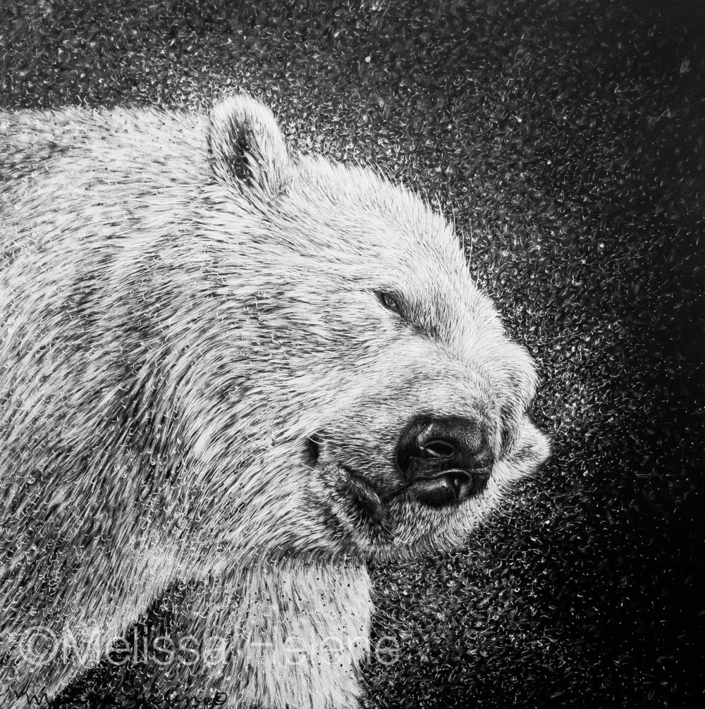 Медведь черно белый арт