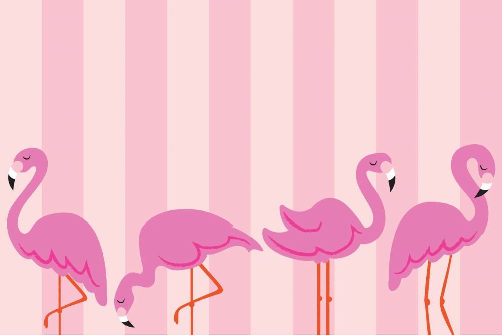 Розовый Фламинго на розовом фоне