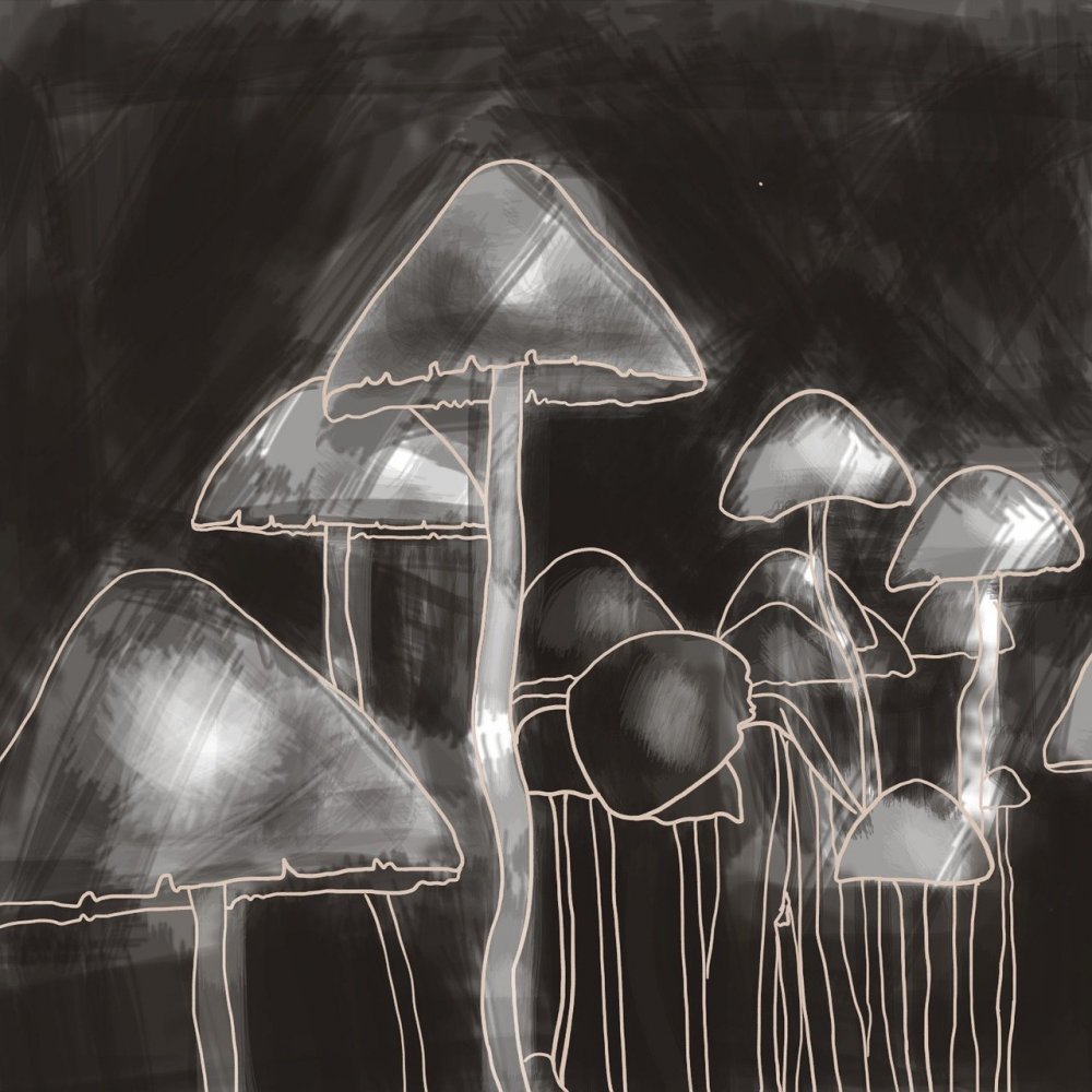 Графические грибы