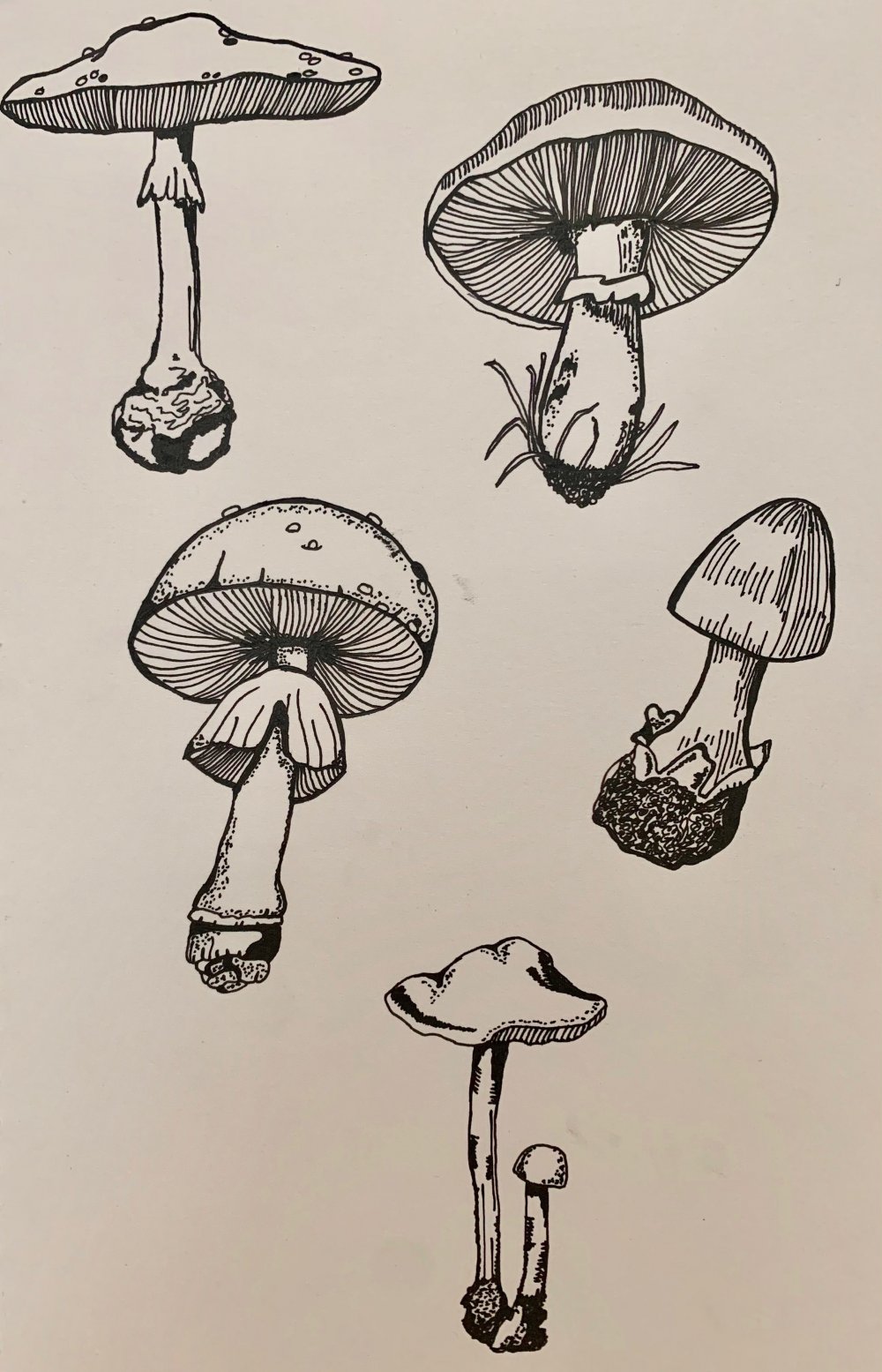 Goblincore Art грибы