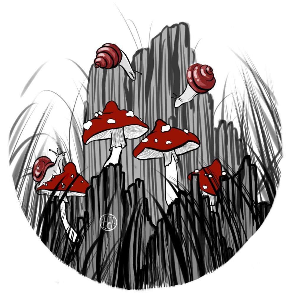 Акварельные рисунки грибов