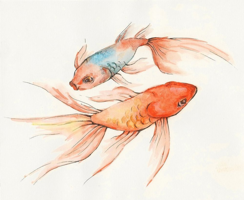 Рыба акварельными карандашами