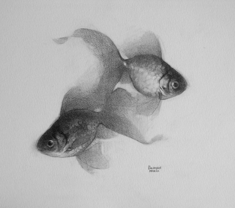 Рисование углем рыба