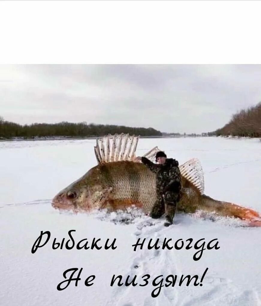 Зимняя рыбалка юмор