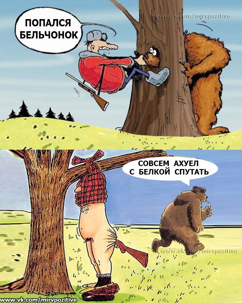 А если медведь
