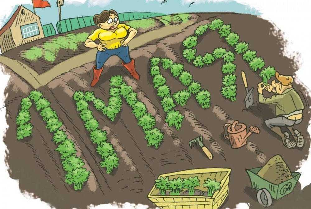Смешные картинки про дачу и огород