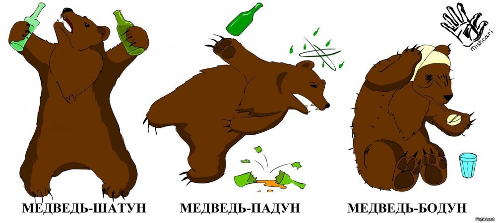 Шутки про медведей смешные