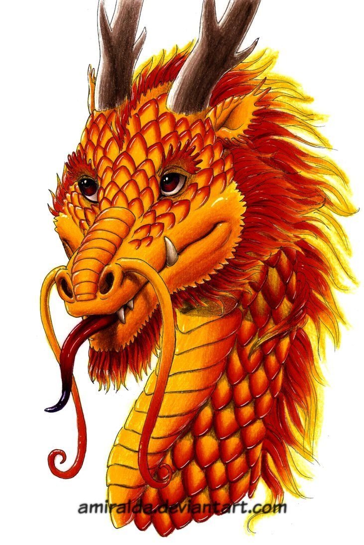 Головы китайских драконов