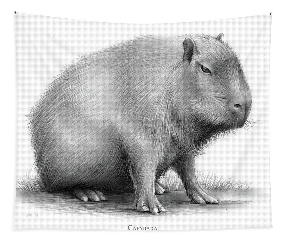 Capybara арт