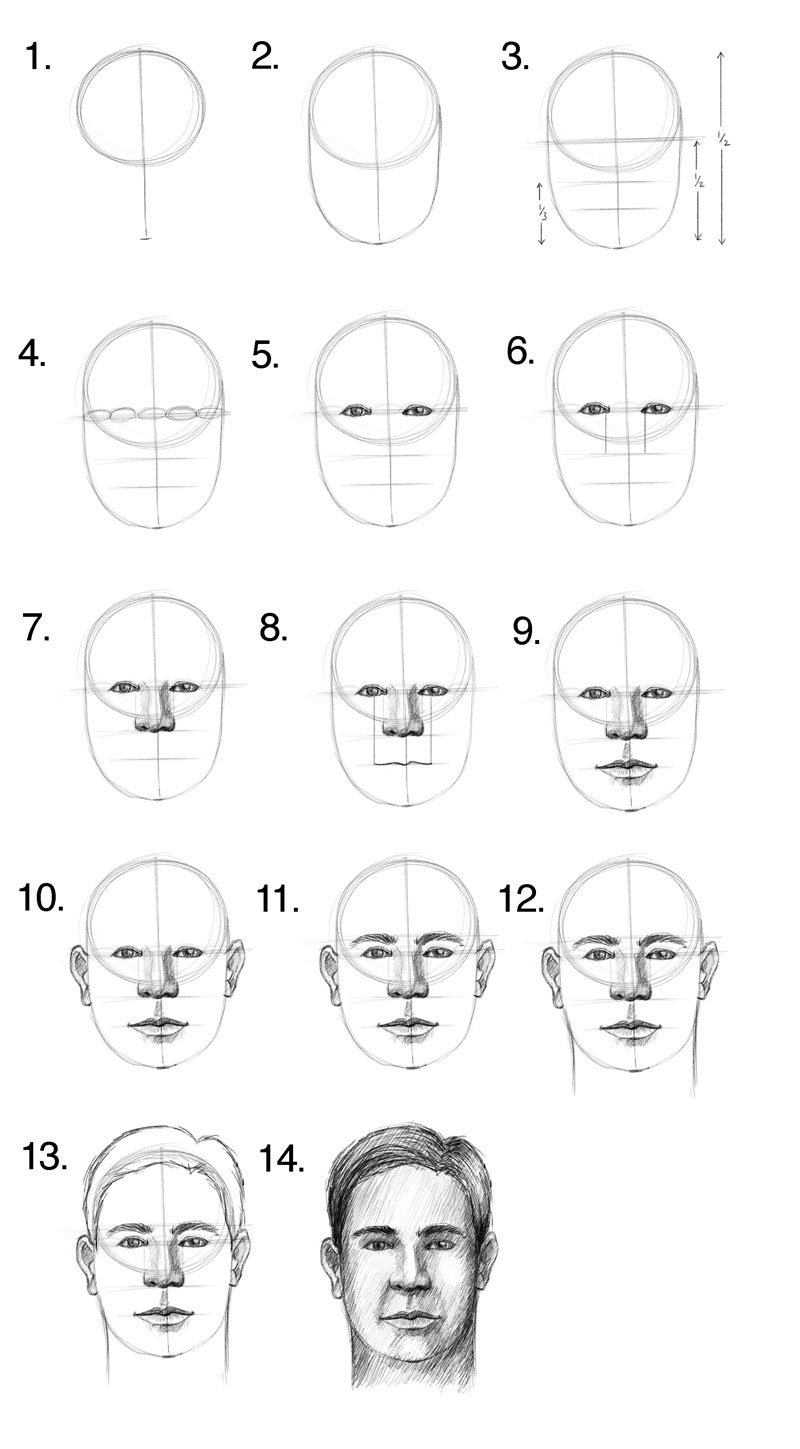 Пропорции лица человека для рисования