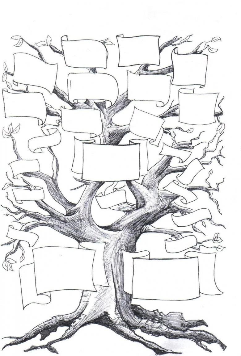 Эскиз родового дерева
