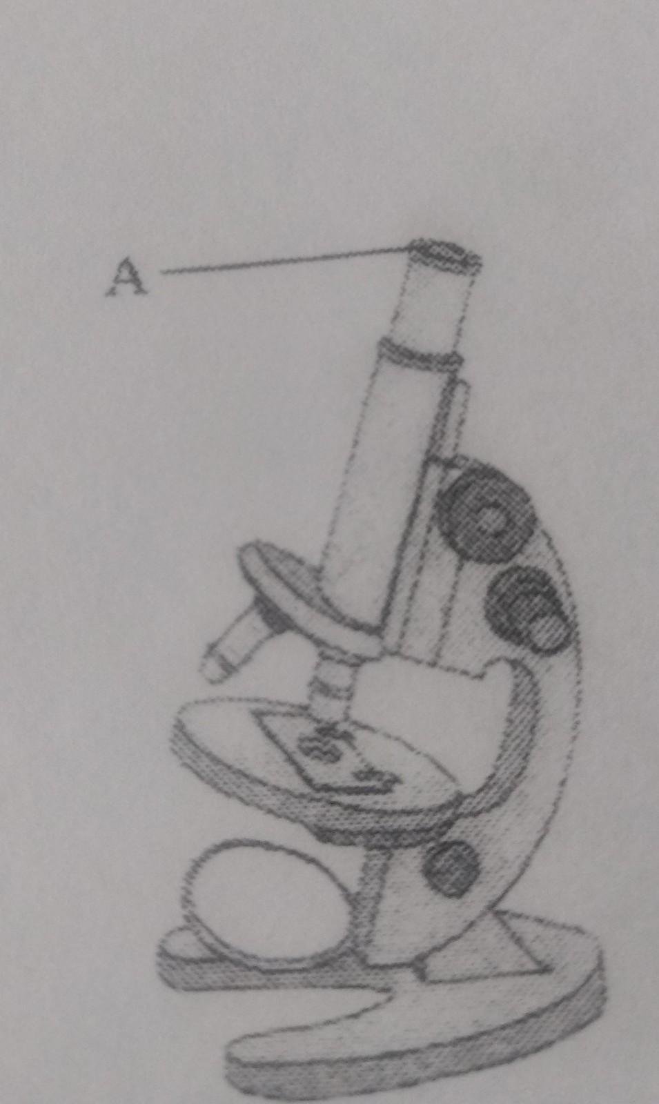 Микроскоп рисунок с подписями