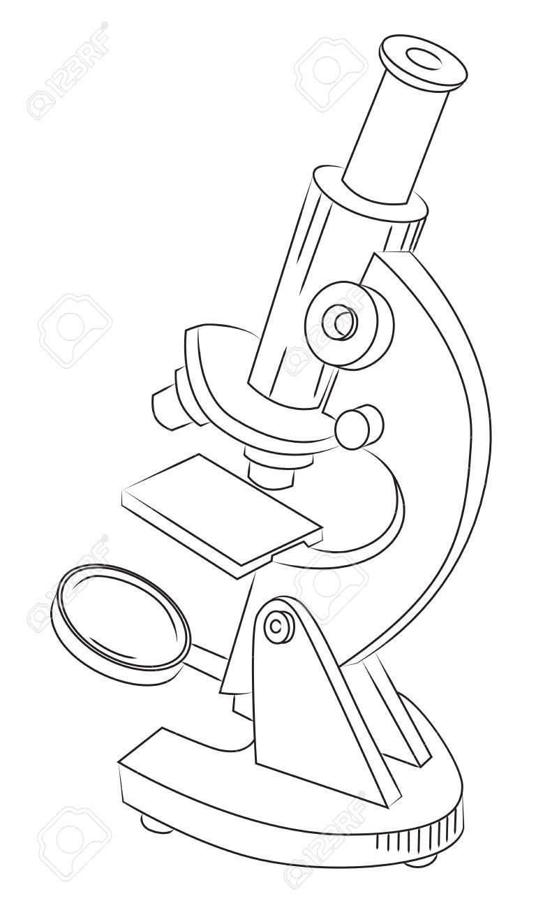 Разукрашка световой микроскоп