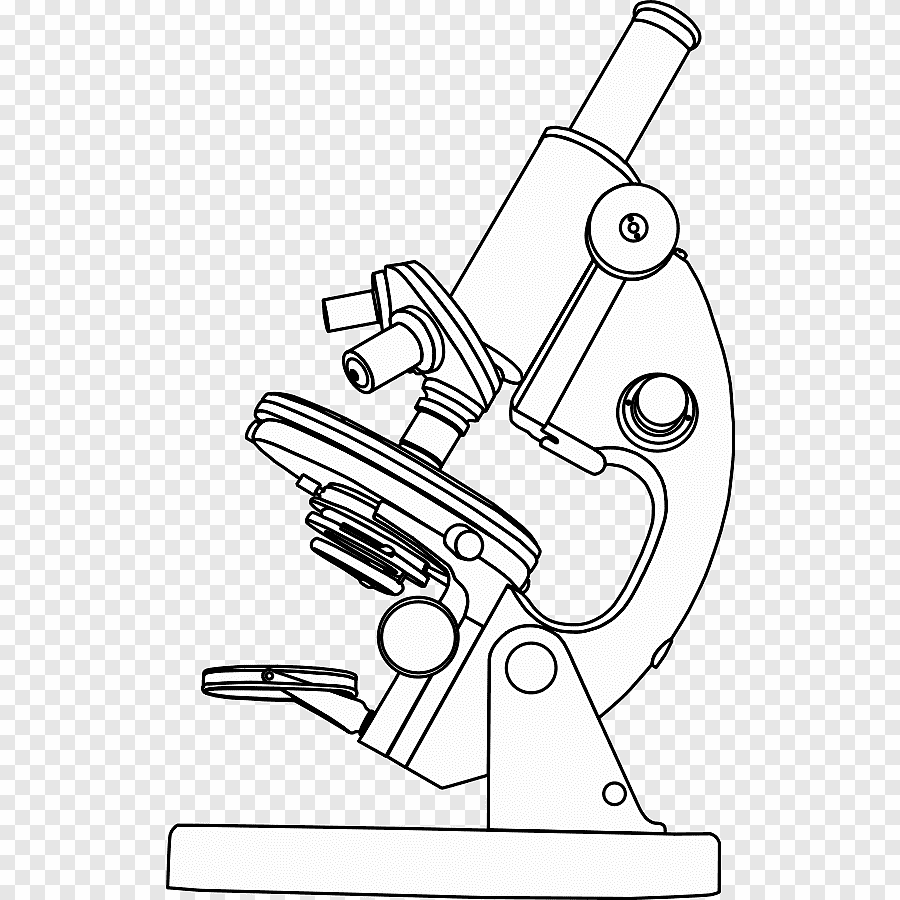 Световой микроскоп рисунок