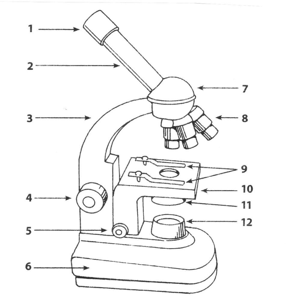 Микроскоп вид сбоку чертеж