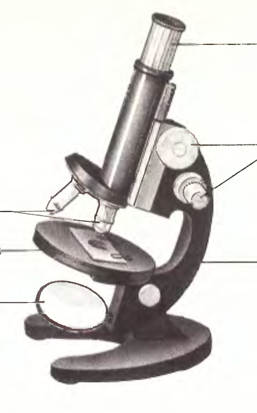 Механическая часть светового микроскопа