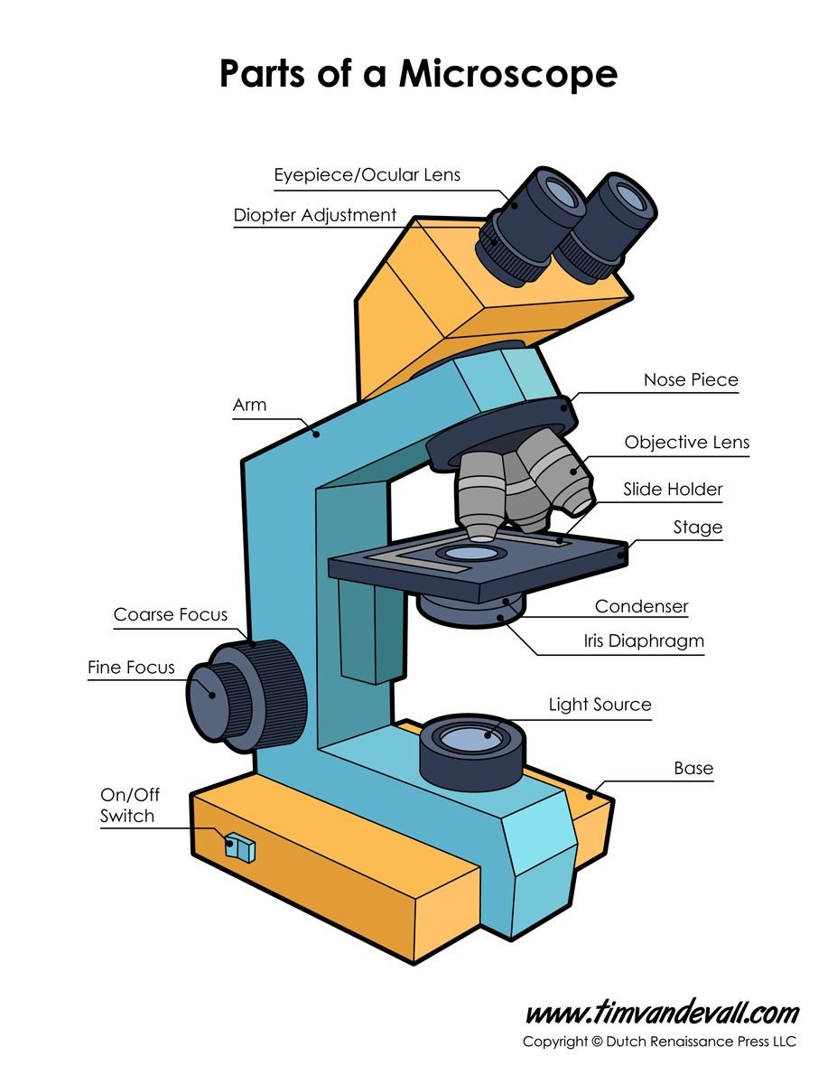 Parts of микроскоп