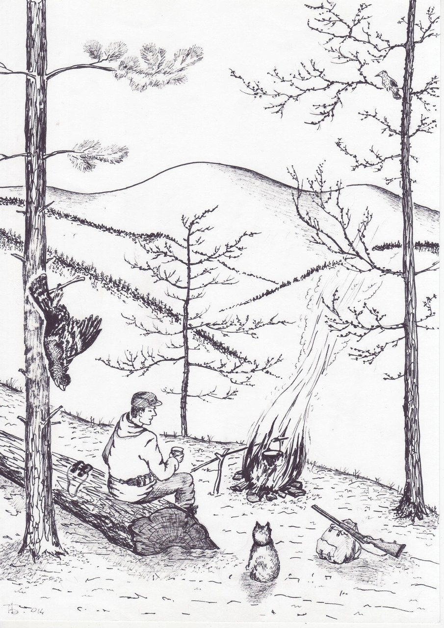 Иллюстрация Васюткино озеро раскраска