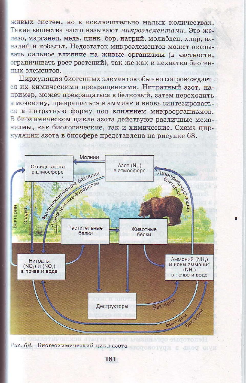 Схема биогеохимического цикла азота в природе
