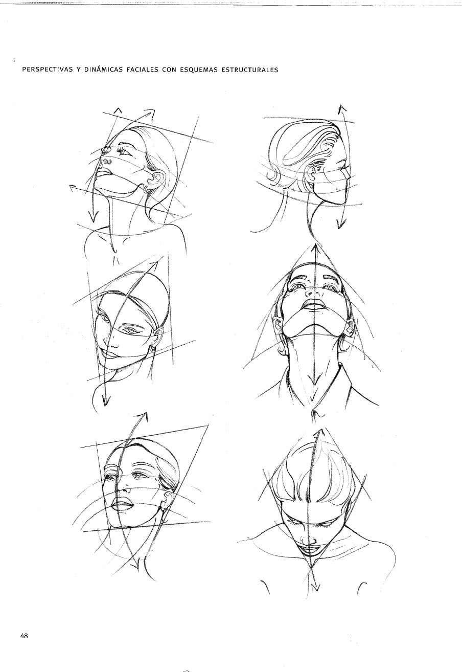 Схема рисования головы женщины