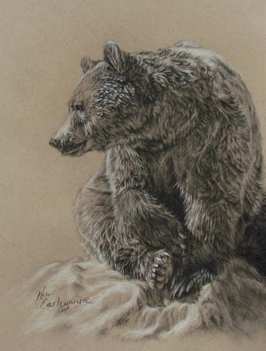 Рисование медведь пастель