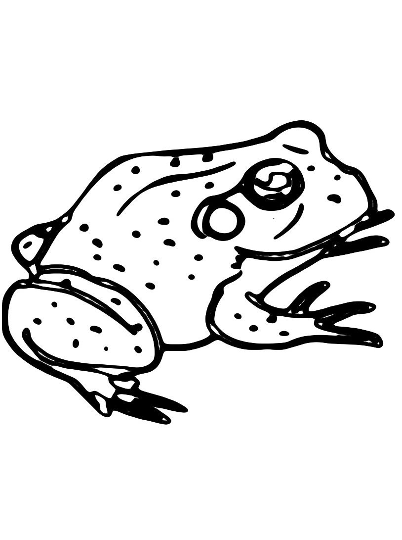 Рассказ о жабе и Розе раскраска