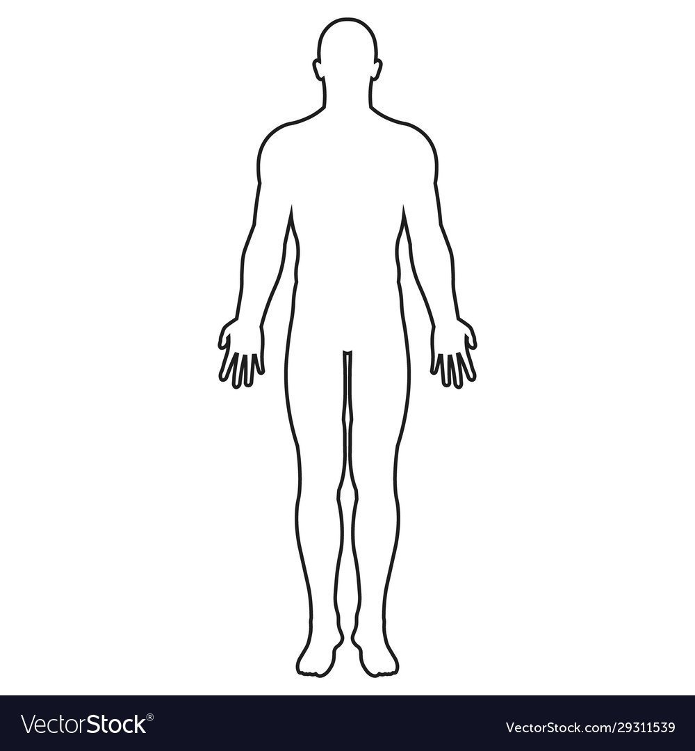 Очертание тела человека
