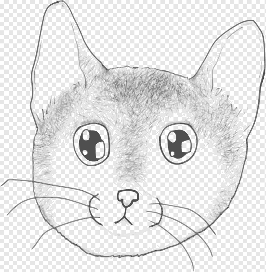 Мордочка кота рисунок