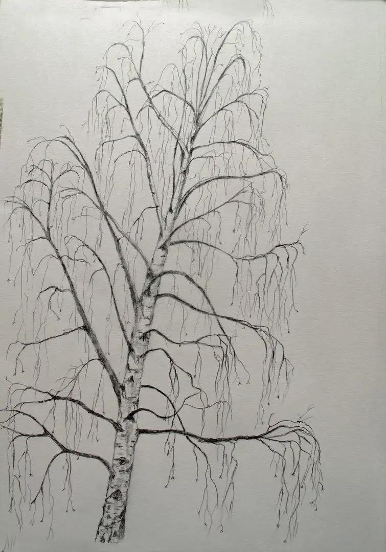 Дерево карандашом