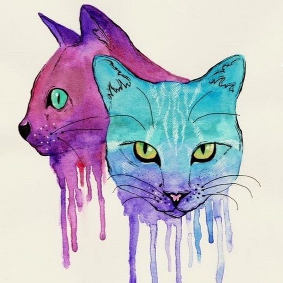 Красивые рисунки кошек красками