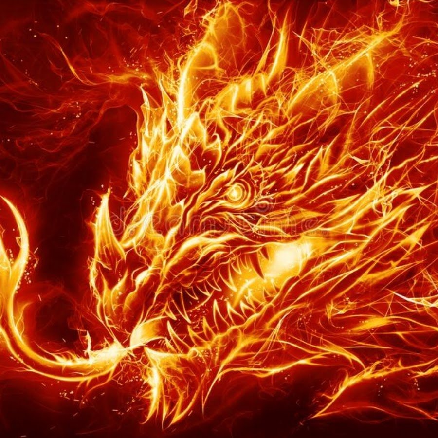 Портрет Огненный дракон