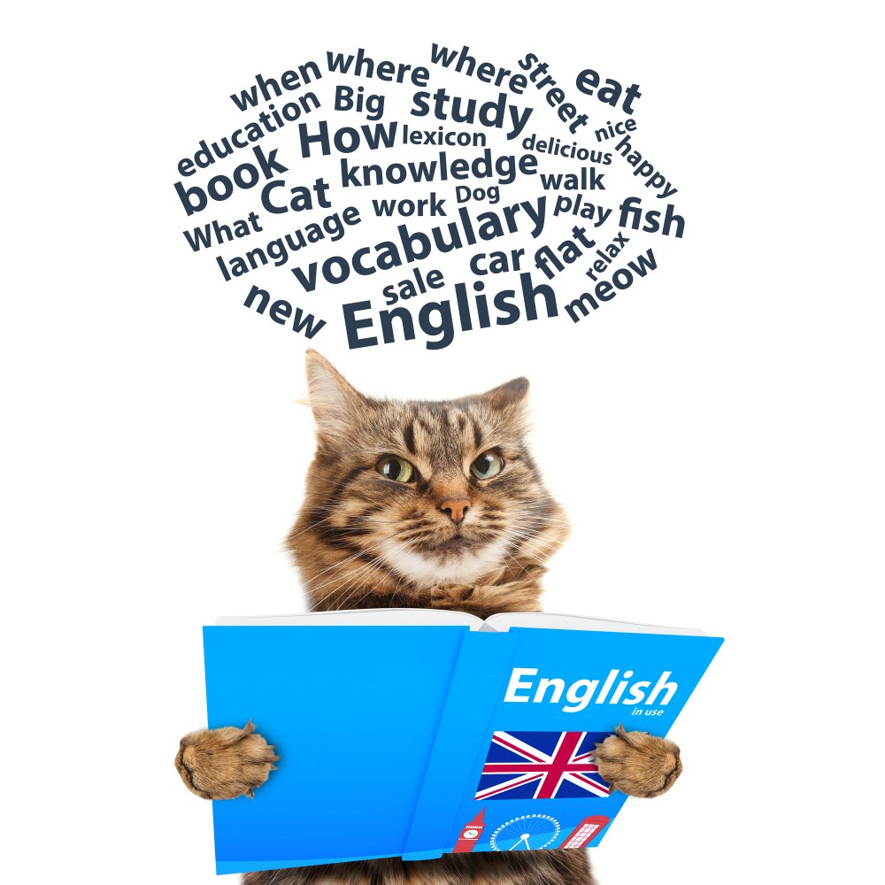 Приколы про изучение английского