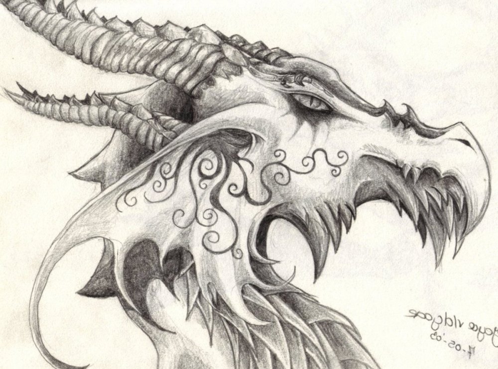 Голова дракона рисунок