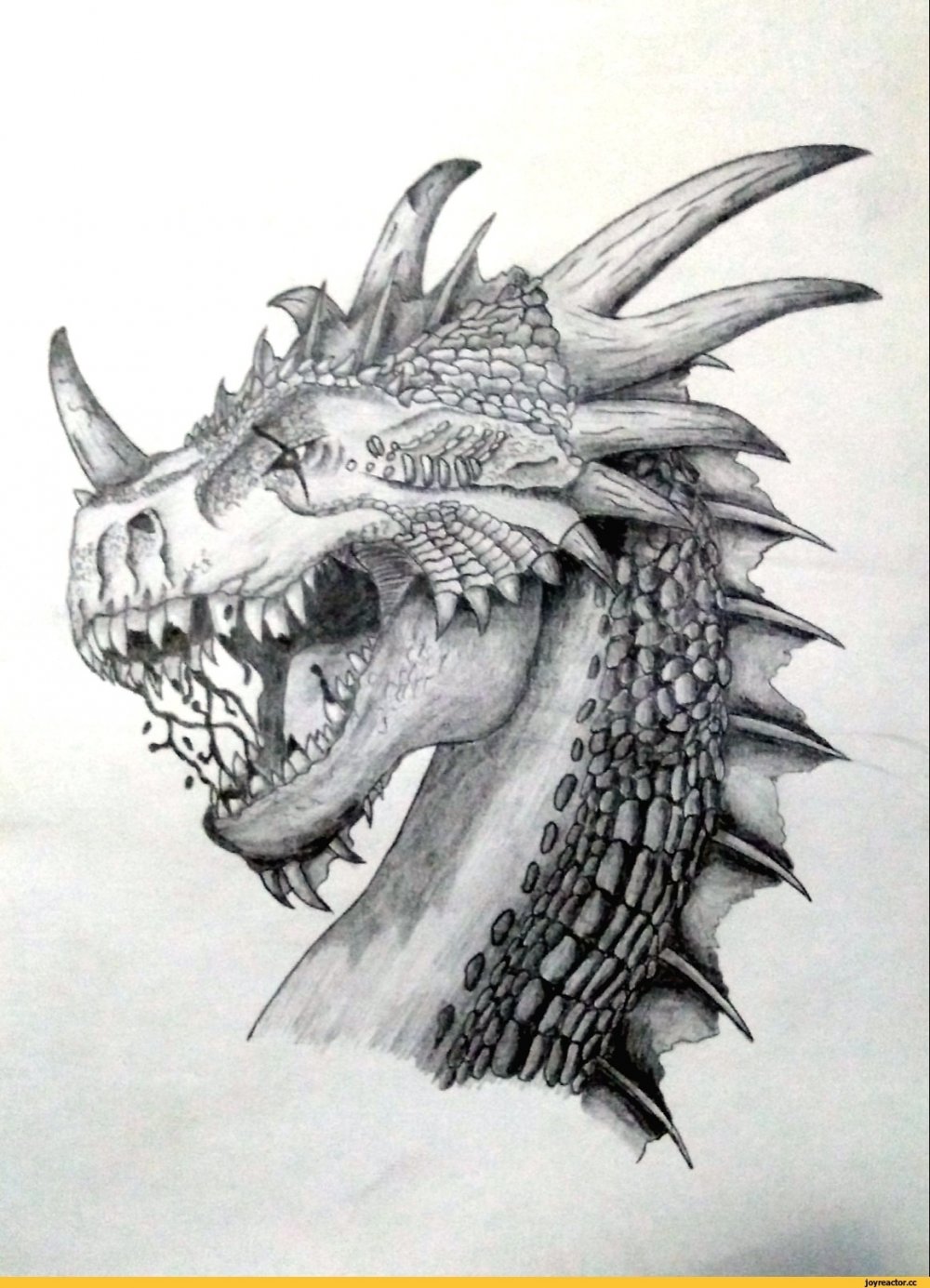 Голова дракона ручкой