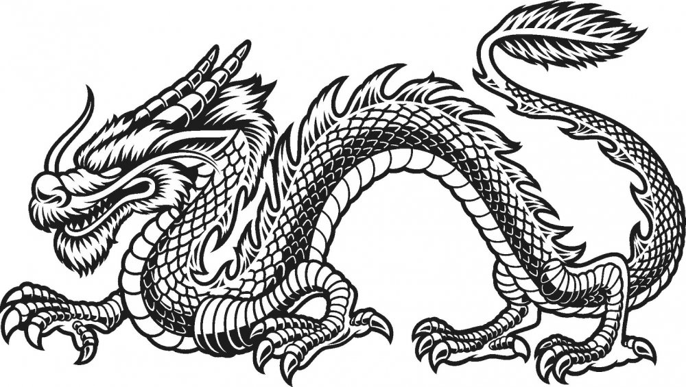 Китайский дракон картинки